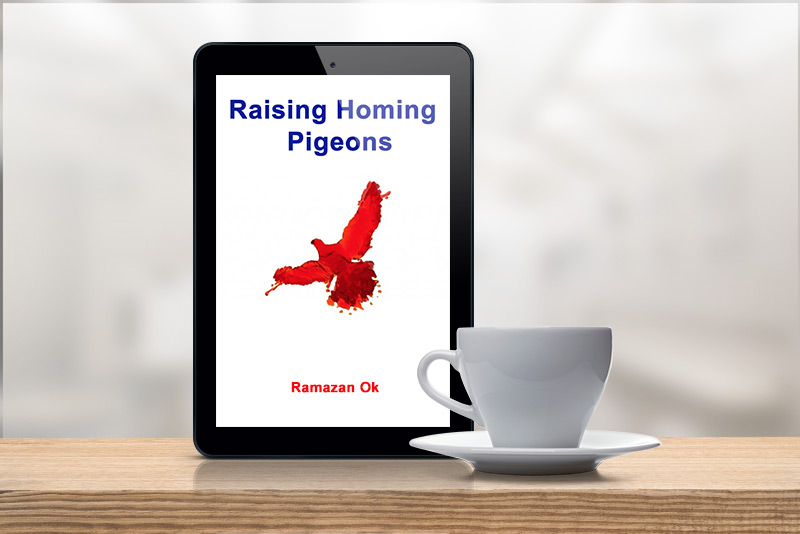 Raising Homing Pigeons